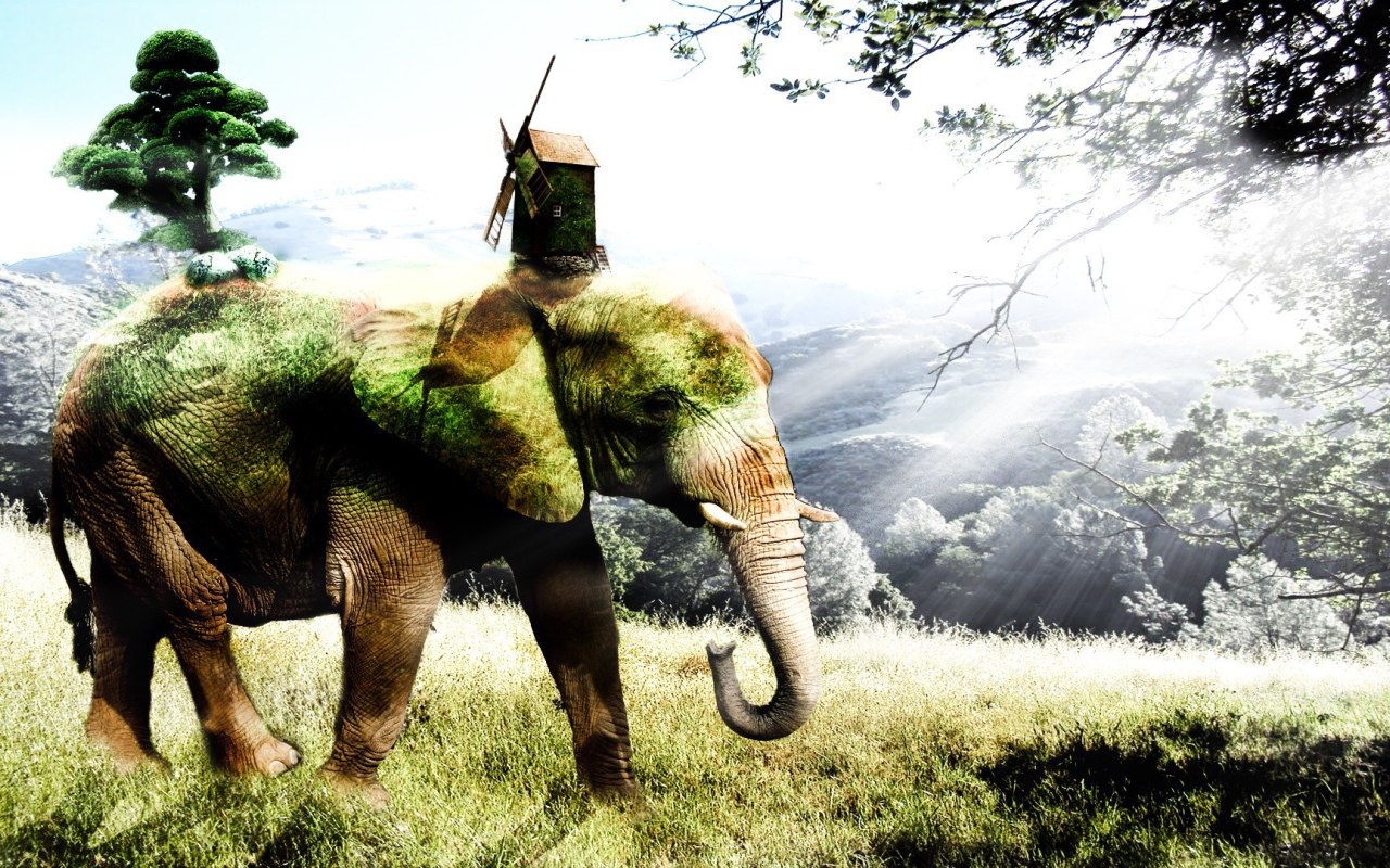 Покрытый мхом слон