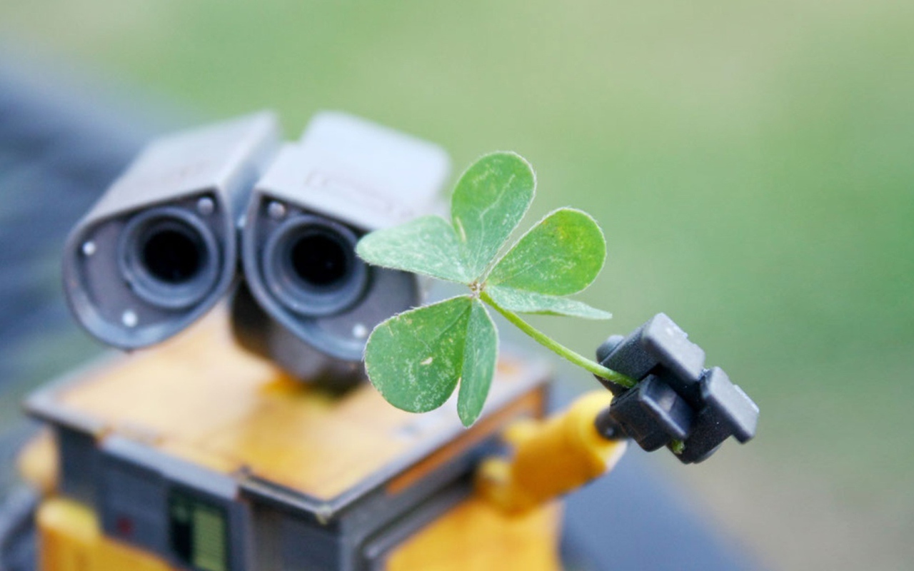 Робот Валли подает зеленый росток