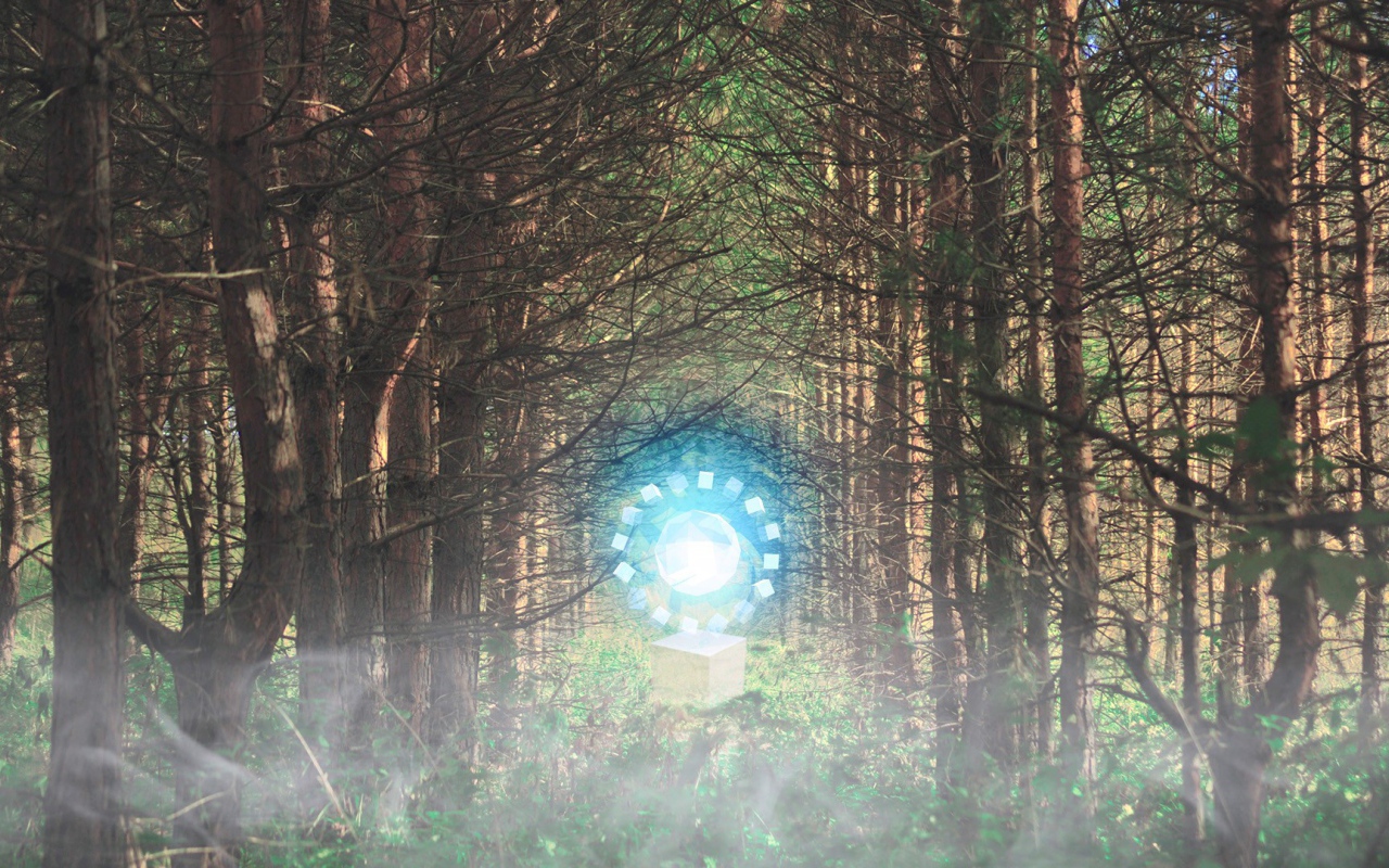 Временной портал посреди леса