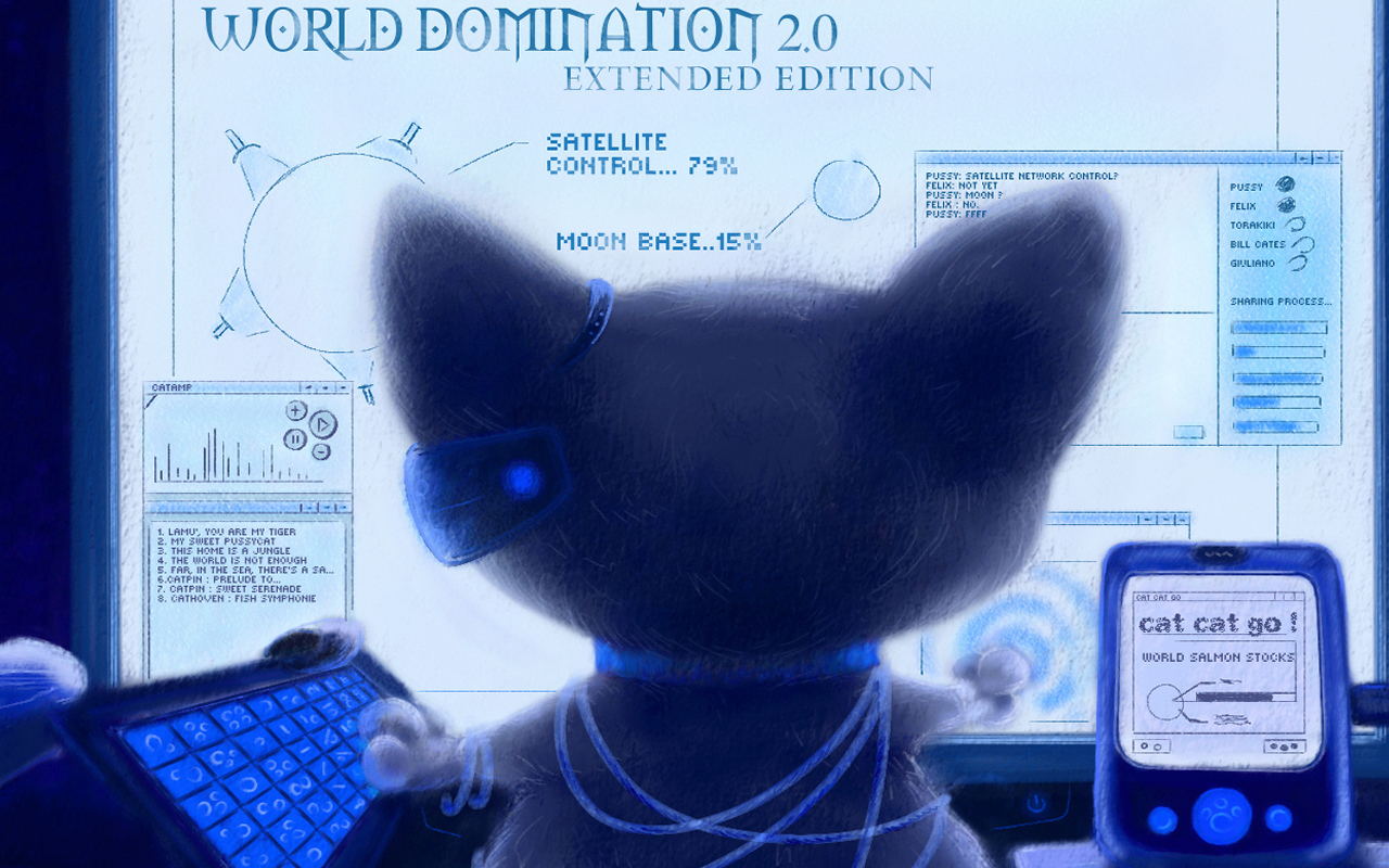 Кот около монитора