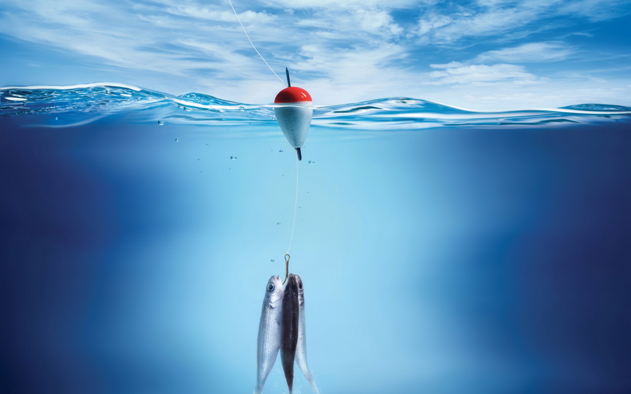 Три рыбы на крючке