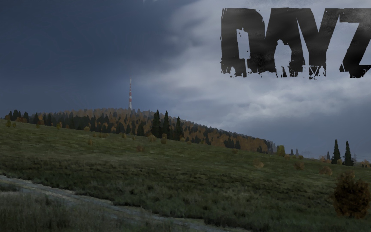 Компьютерная игра DayZ