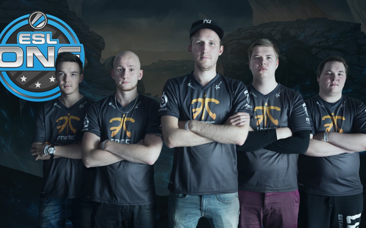 Команда геймеров Fnatic