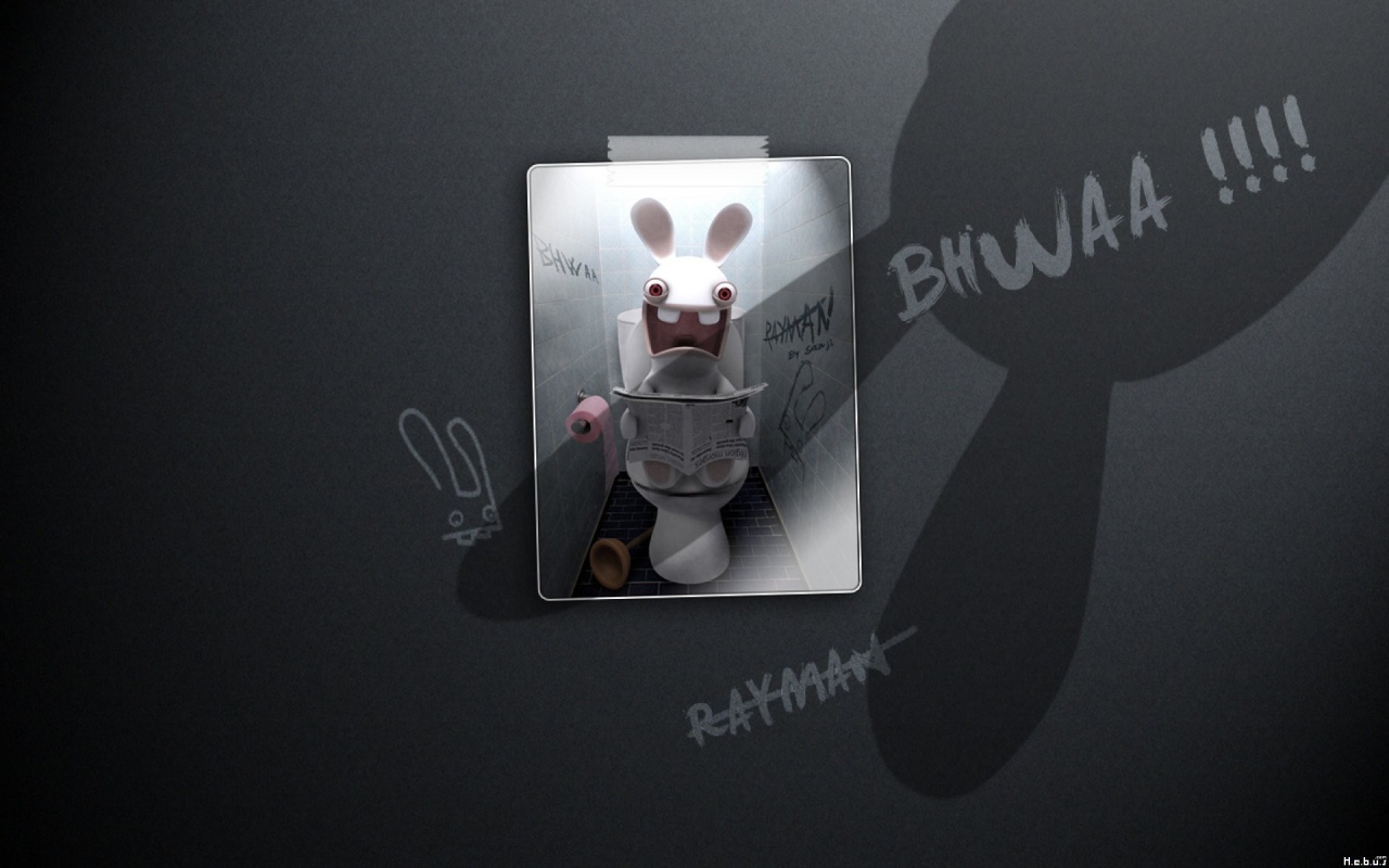 Постер игры Rayman Raving Rabbids