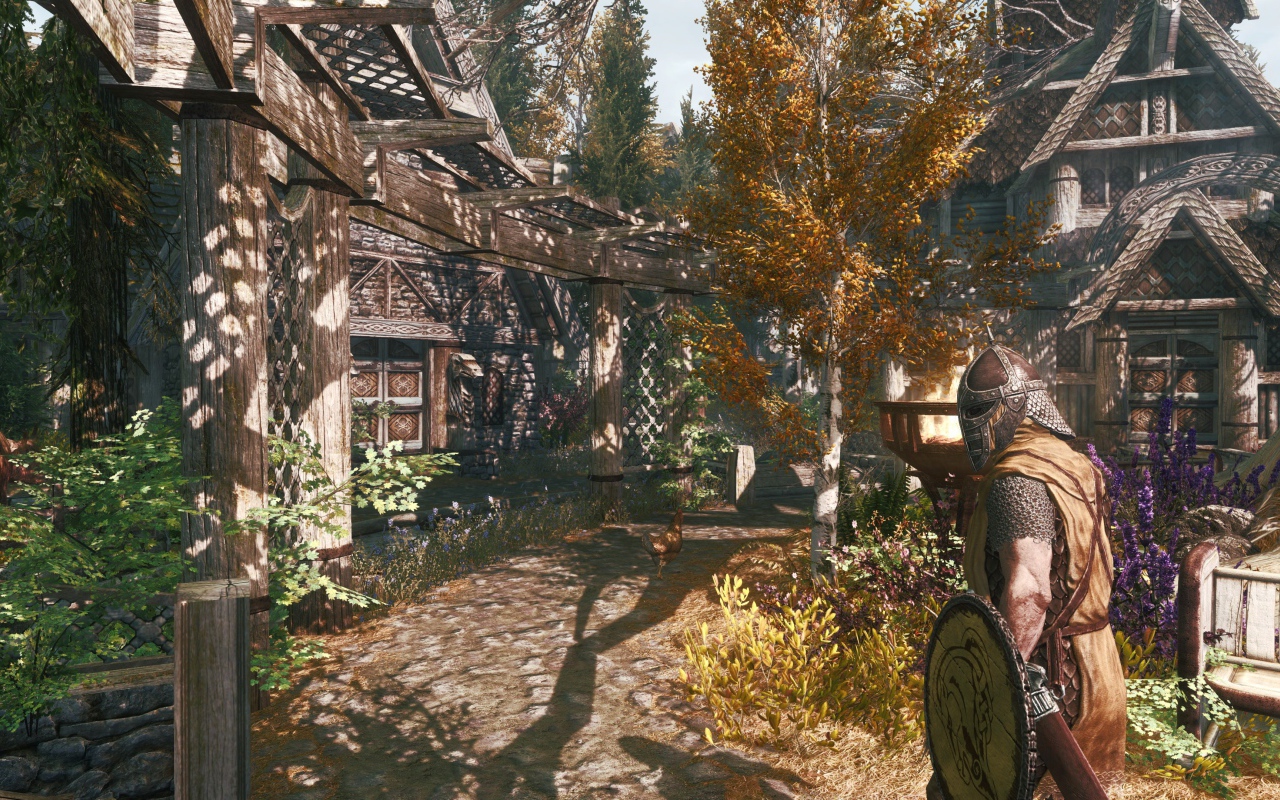 Деревня в игре The Elder Scrolls V Skyrim