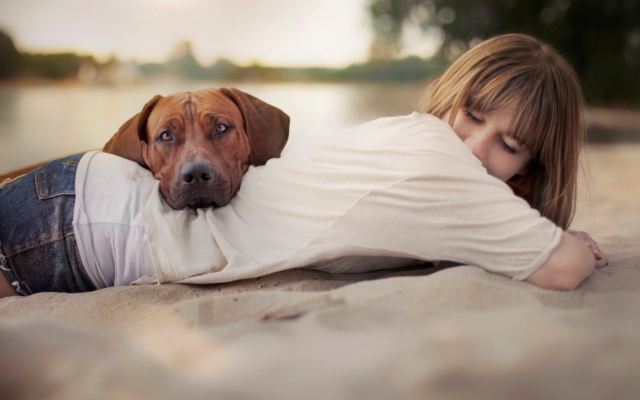 Собака положила голову на спину девушки