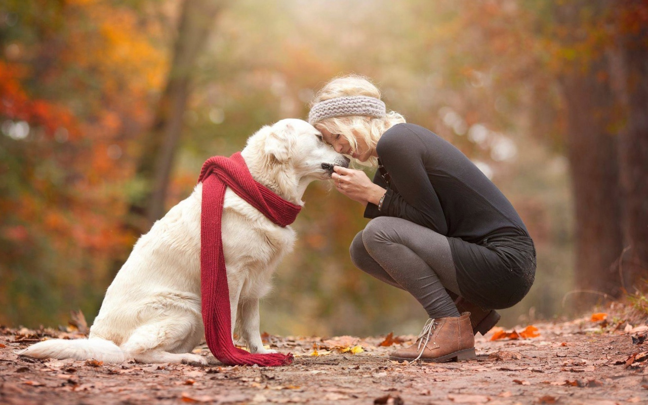 Девушка гуляет со своей большой белой собакой