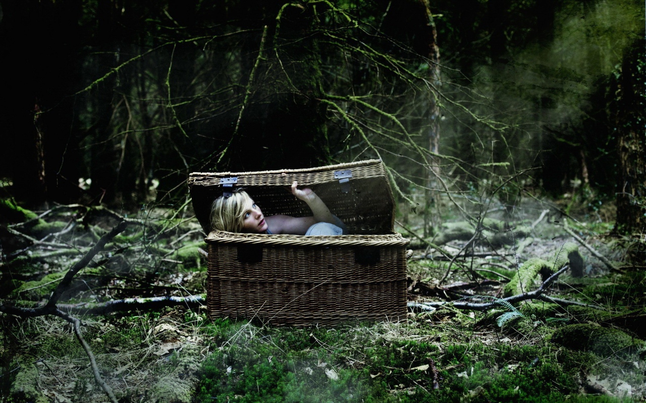 Блондинка в корзине в лесу