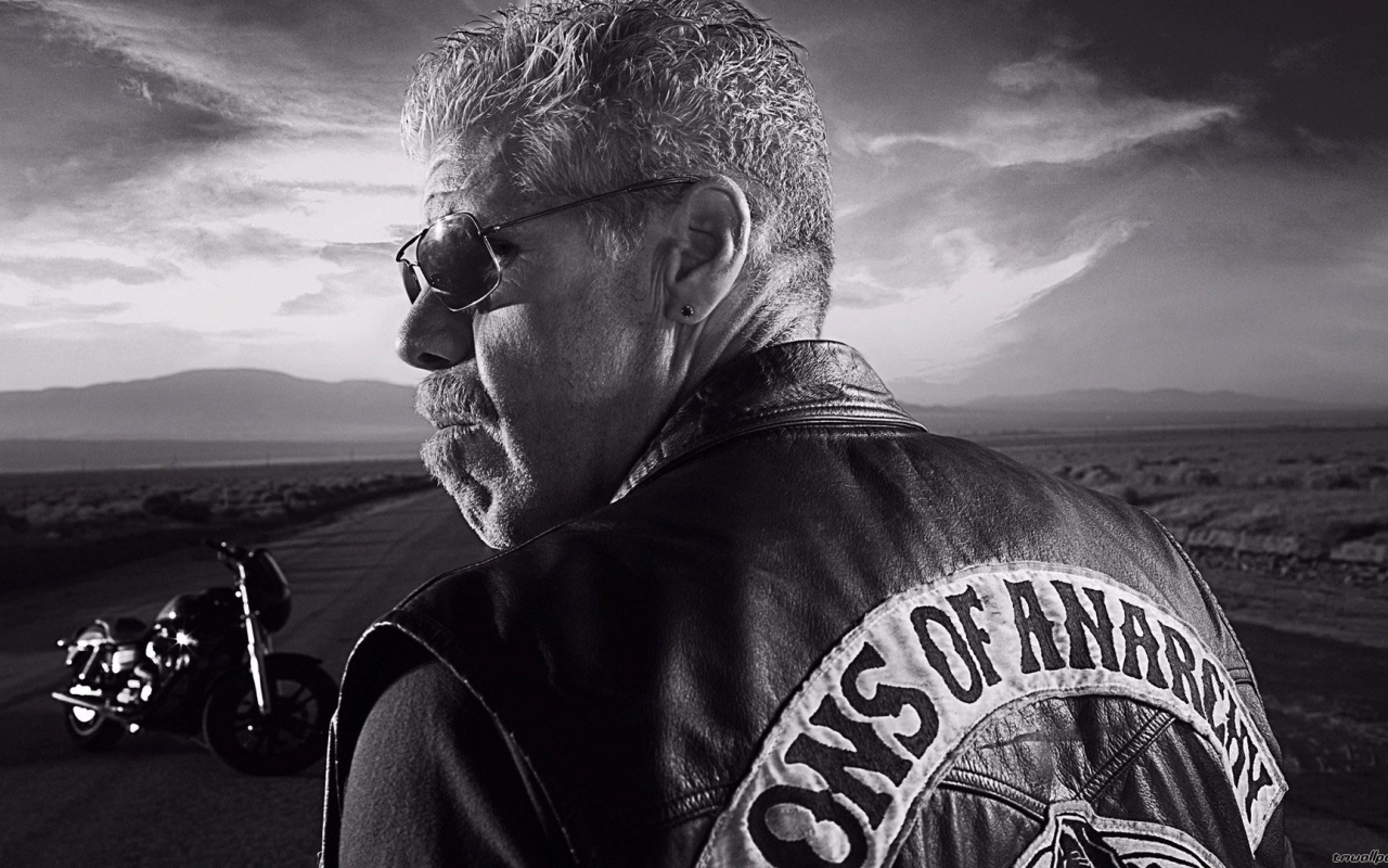 Байкер на дороге, Сыны анархии