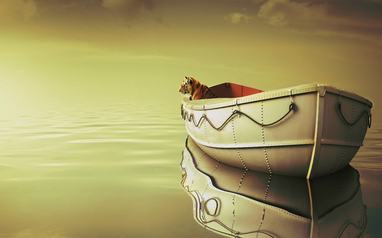 Кадр из фильма Жизнь Пи