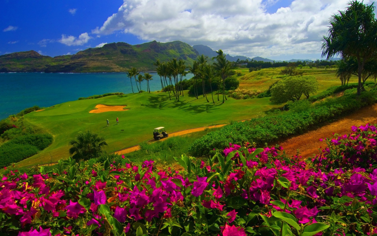 Красивый сад на песчаной почве