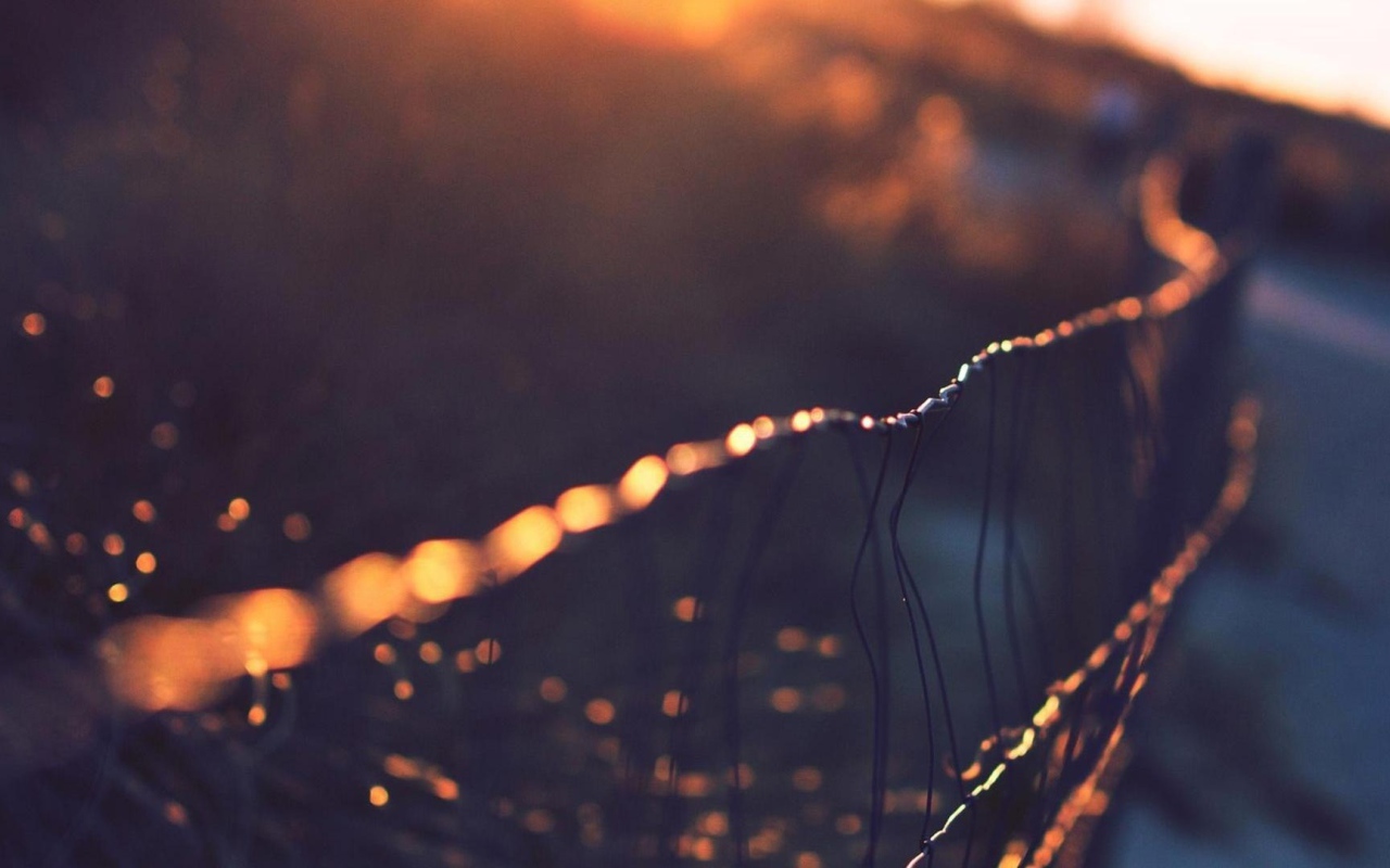 Капли росы на сетчатом заборе