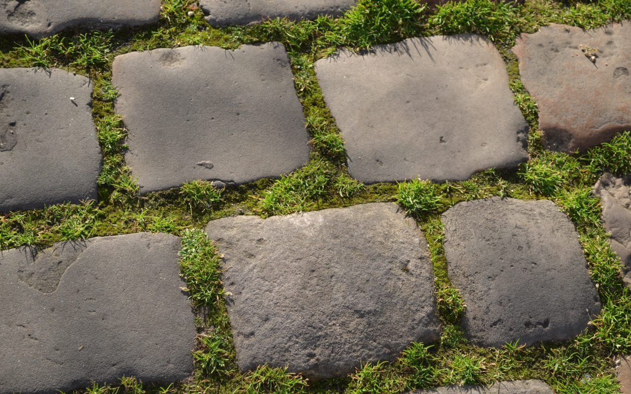 Зеленая трава между блоков брусчатки