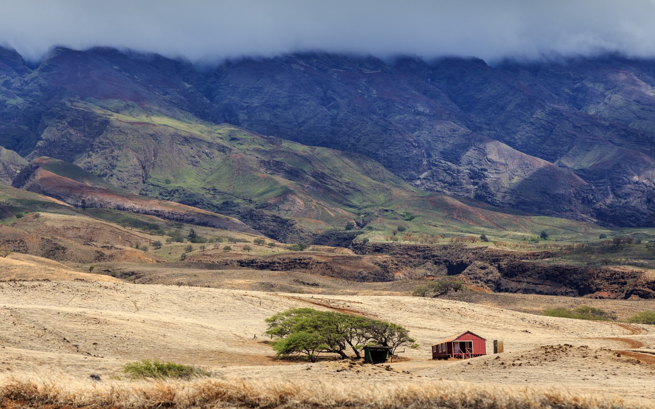Домик у дерева в пустынной горной местности