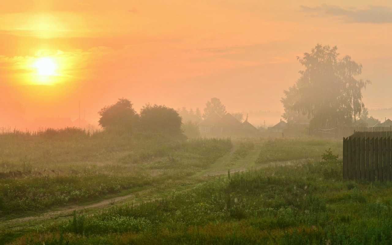 Туманный рассвет в деревне