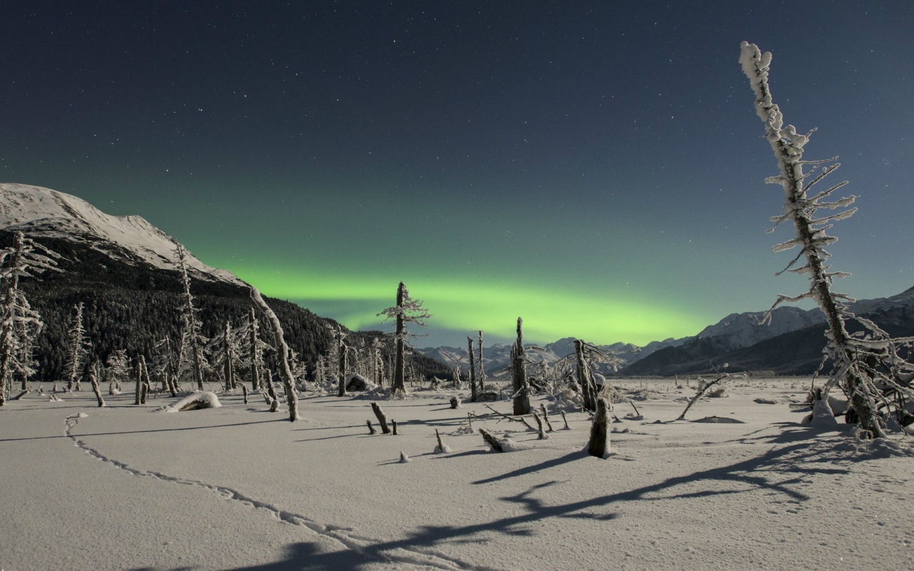 Северное сияние над снежной пустыней