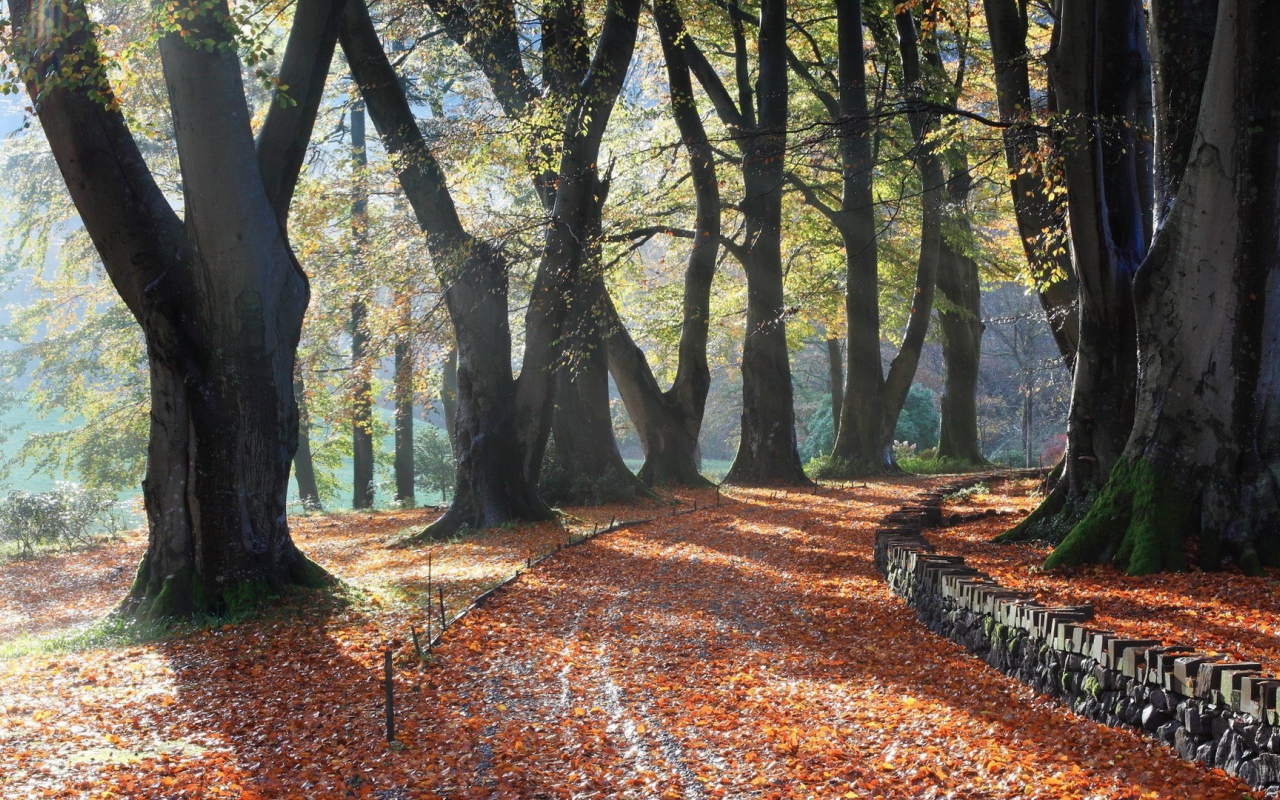 Поворот аллейки, усыпанной листьями