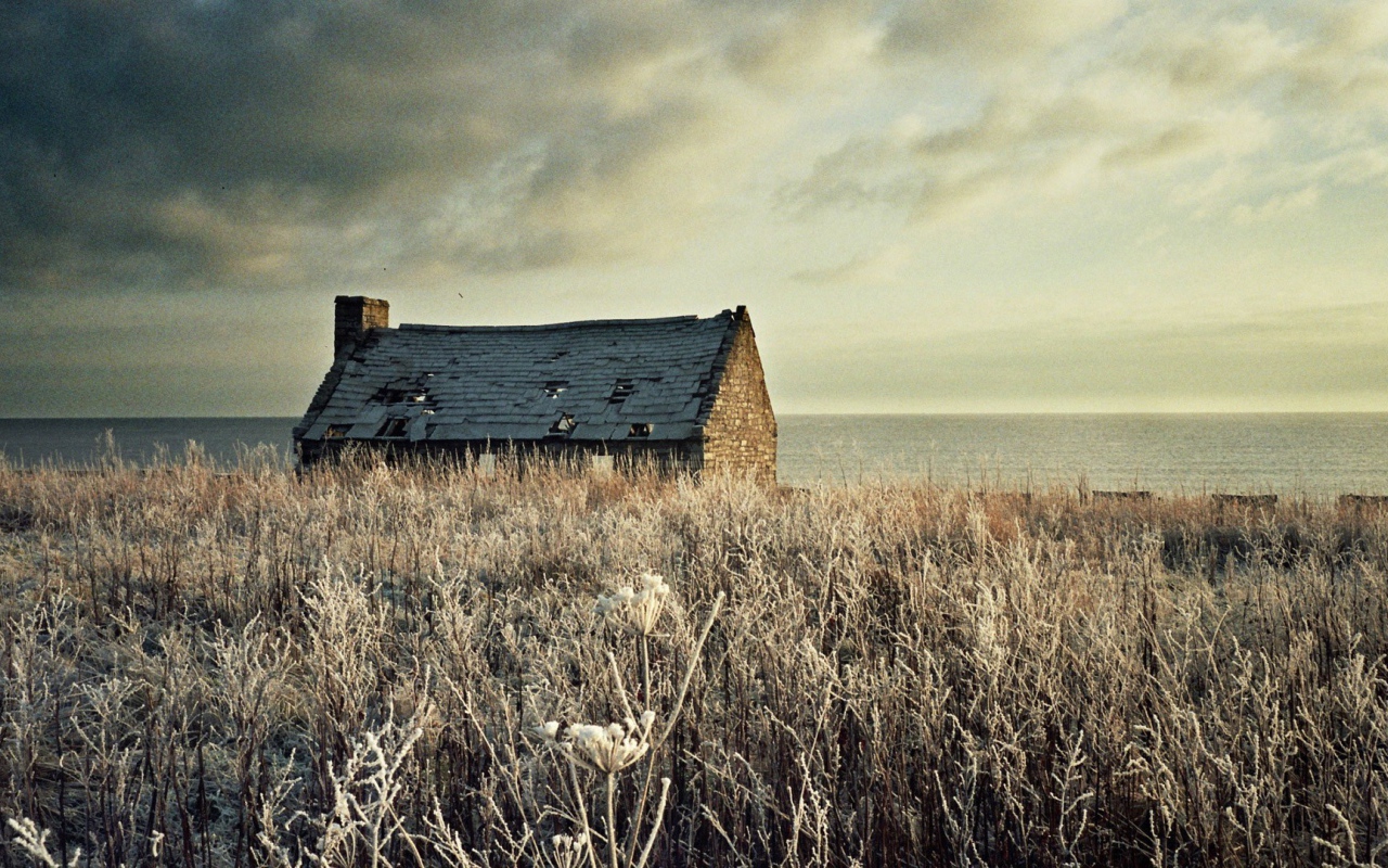 Разрушенный дом на засохшем поле