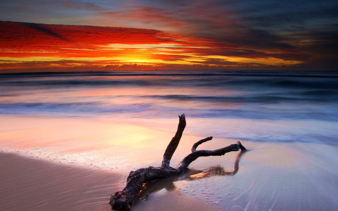 Коряга на белом песке пляжа на закате