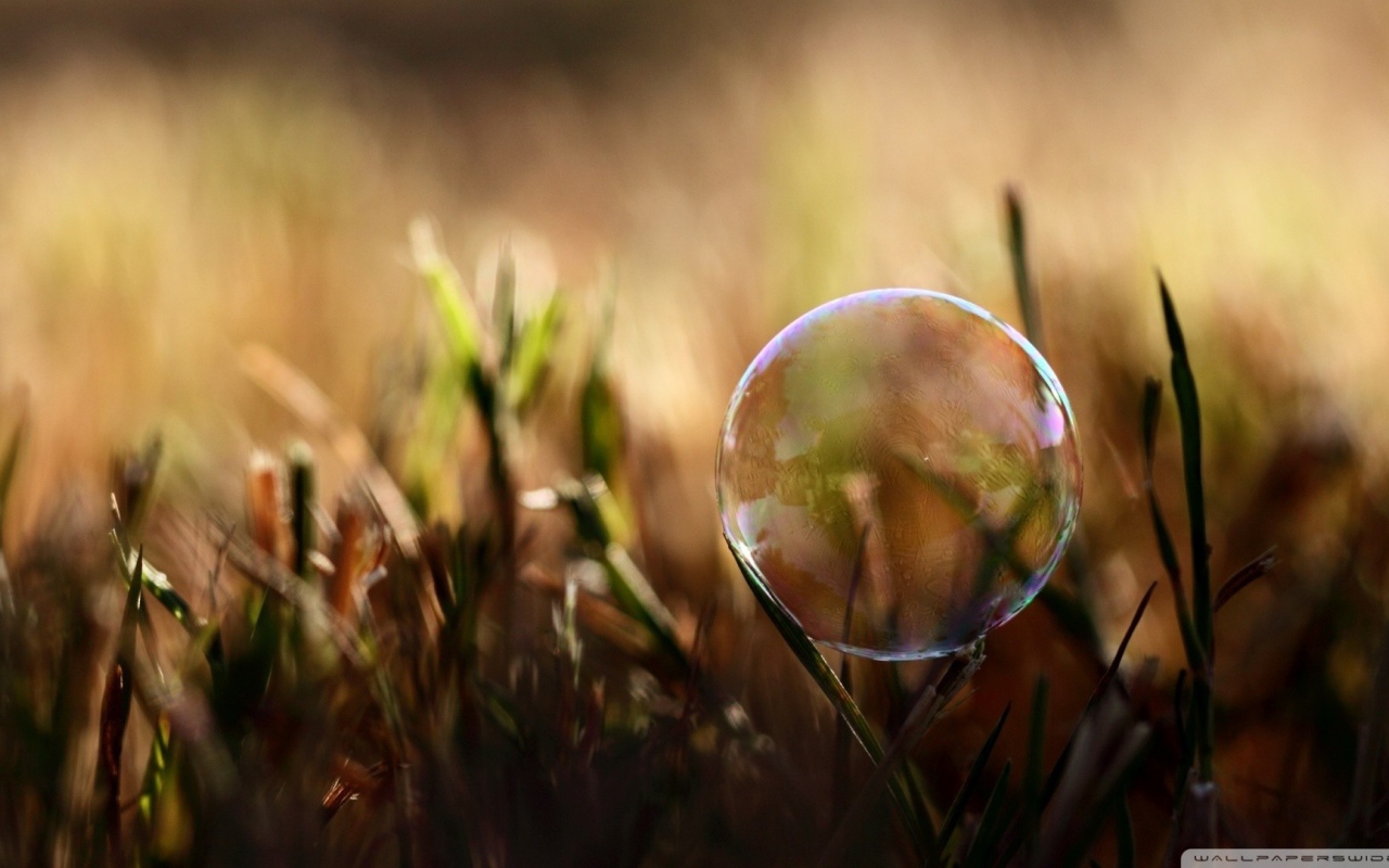 Мыльный пузырь на травинке