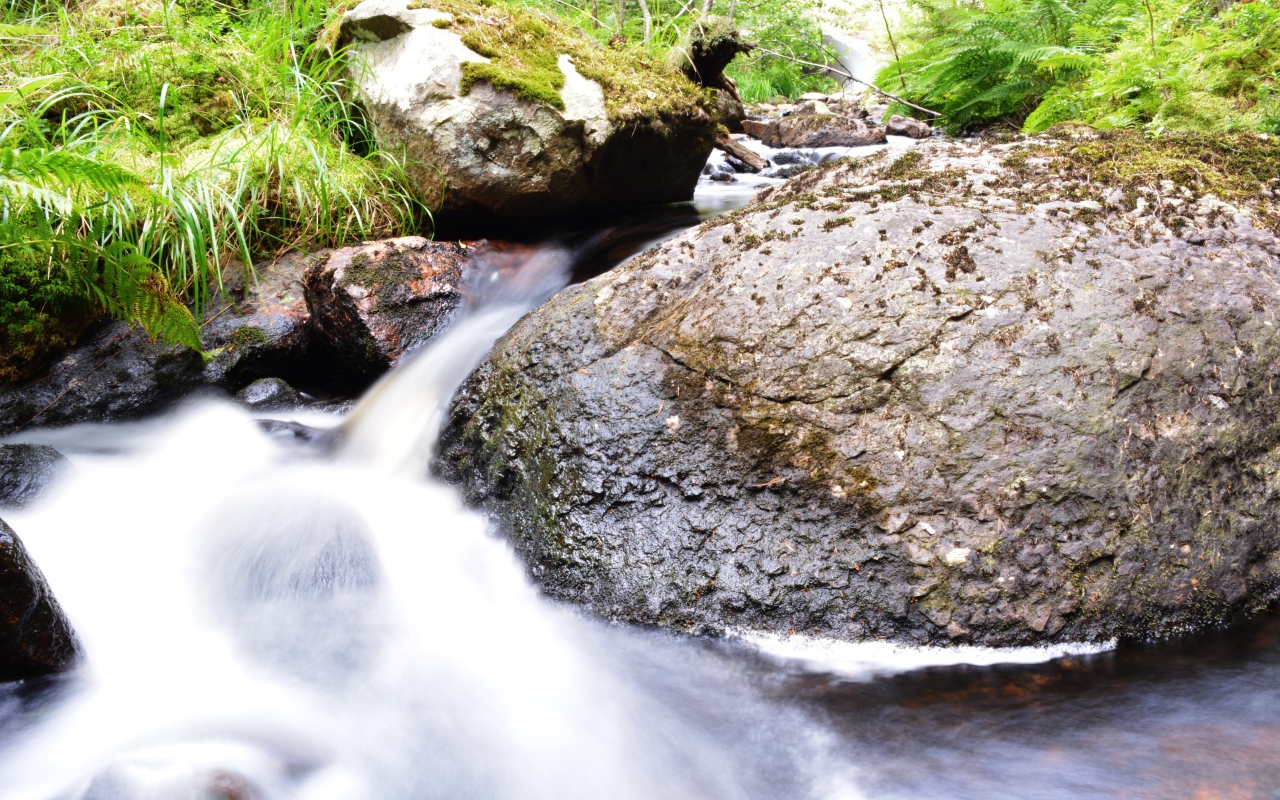 Ручей среди покрытых мхом камней