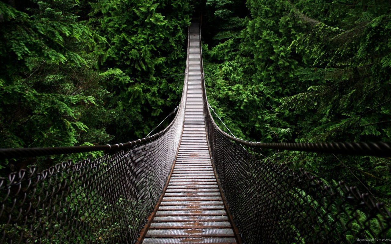 Подвесной мост на канатах