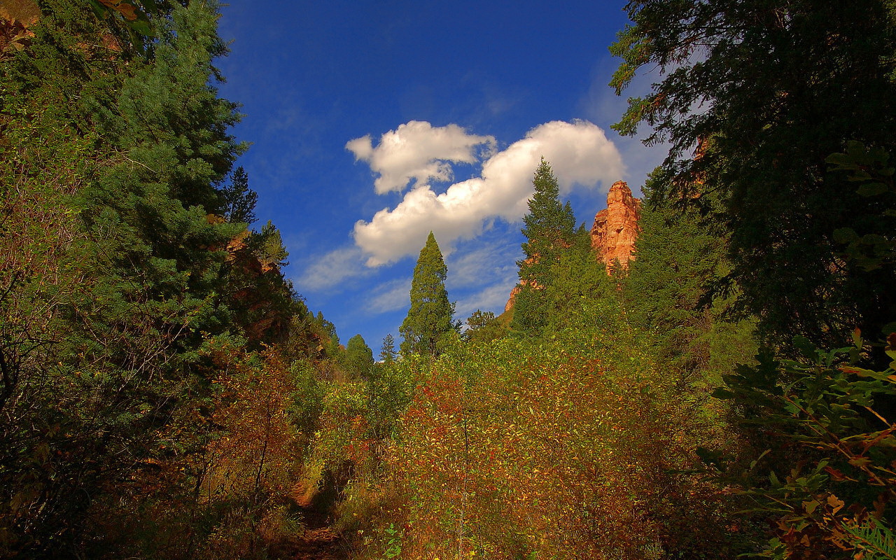 Кусок синего неба