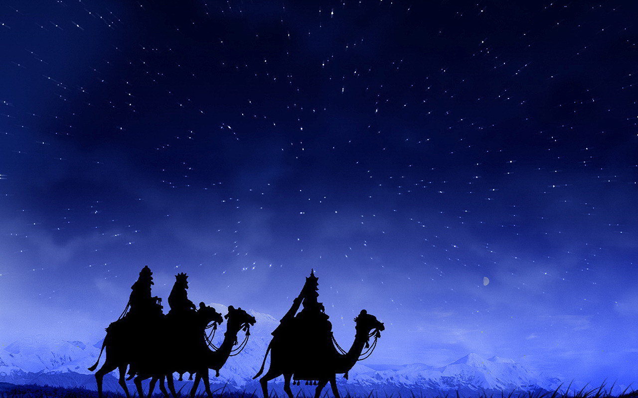 Наездники на верблюдах