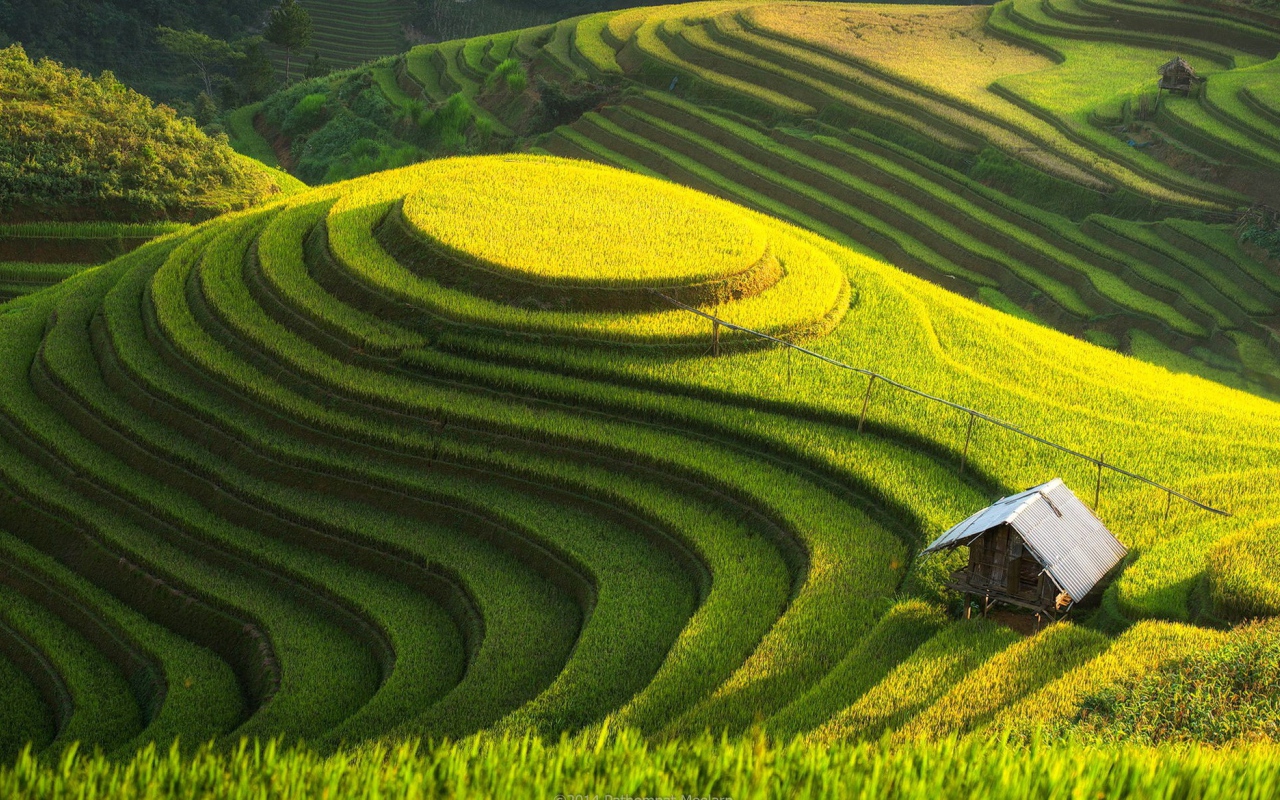 Возделанные поля на холме