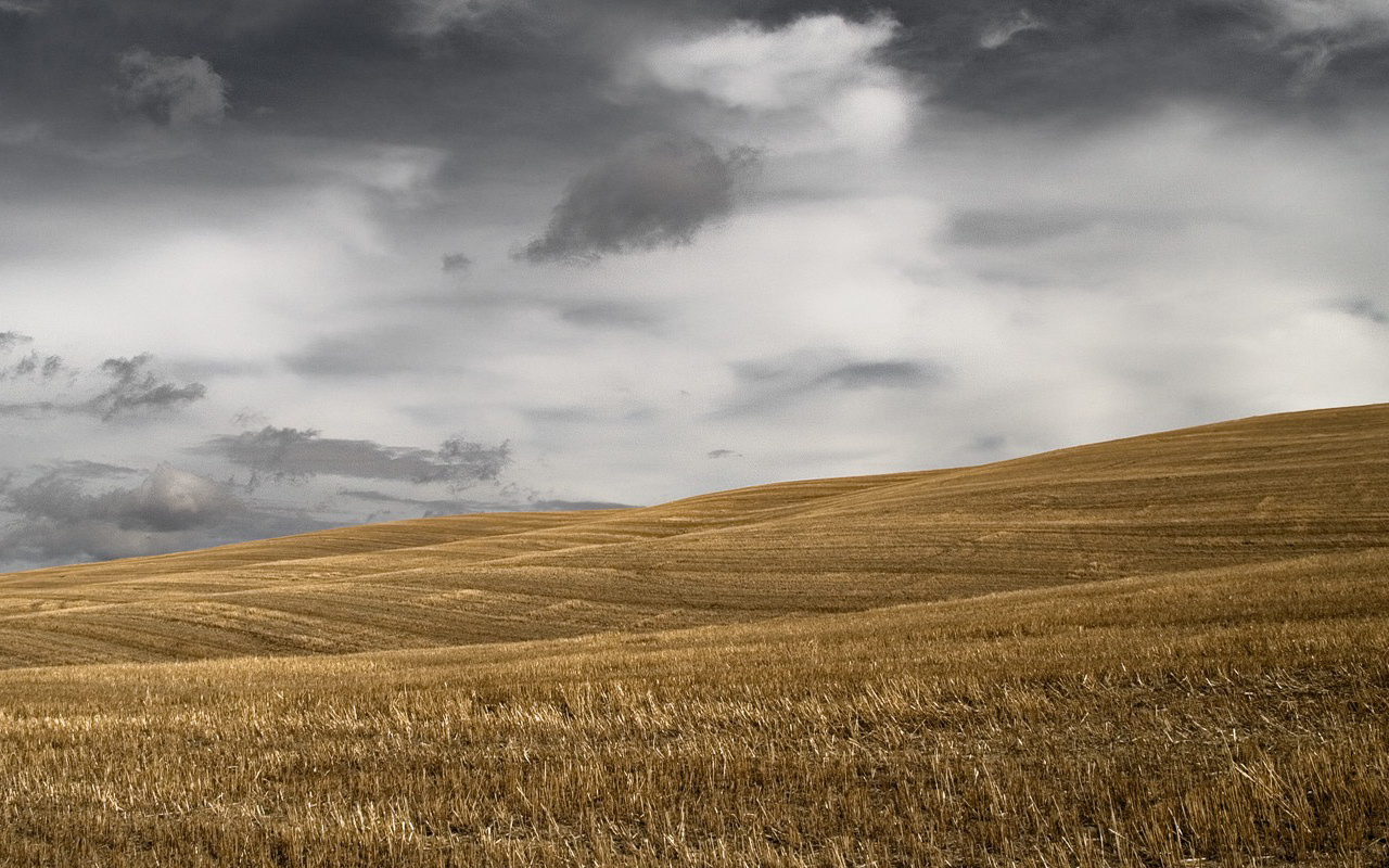 Темное небо над скошенным полем