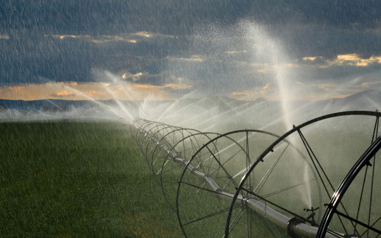 Орошение на полях