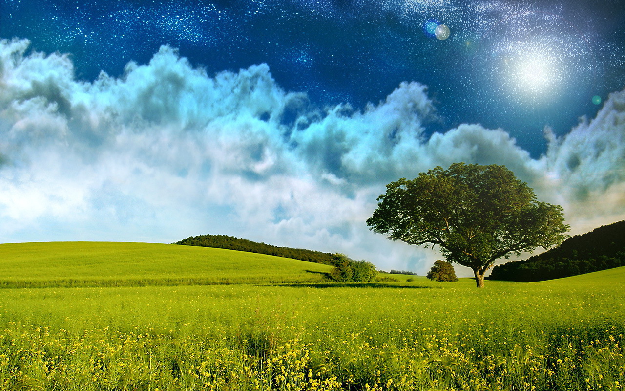 Поле и звездное небо