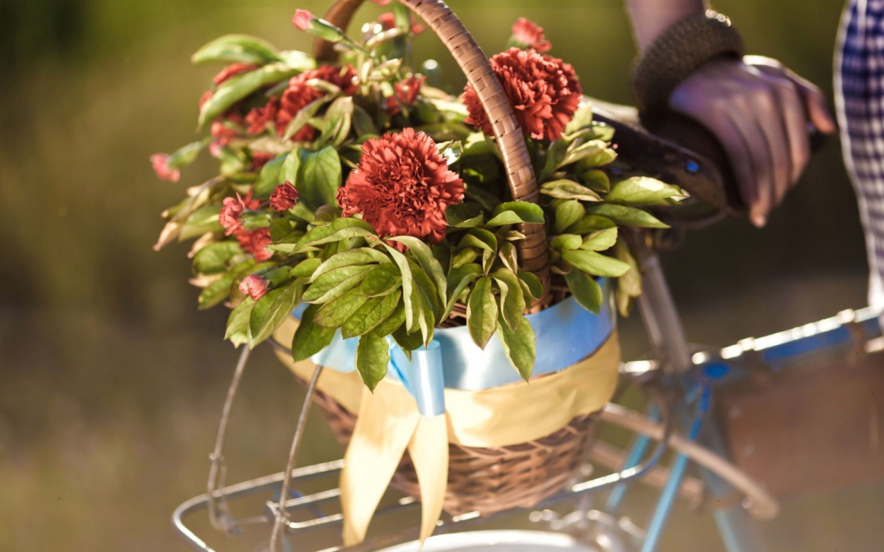 Корзина цветов на багажнике велосипеда