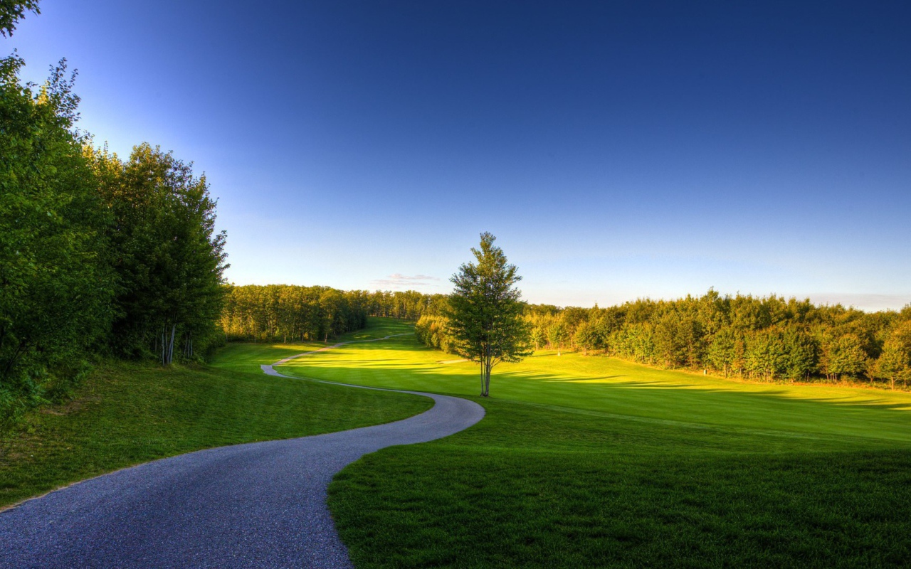 Извилистая дорожка в лесу