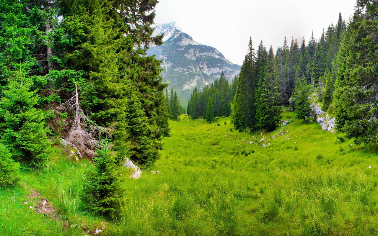 Сказочная природа предгорья