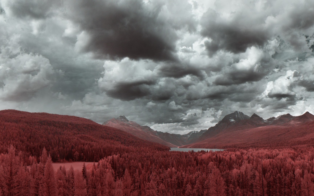 Рыжий лес в предгорье