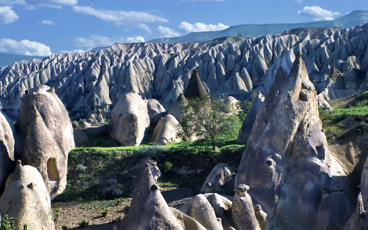 Поле конусо подобных скал в горах