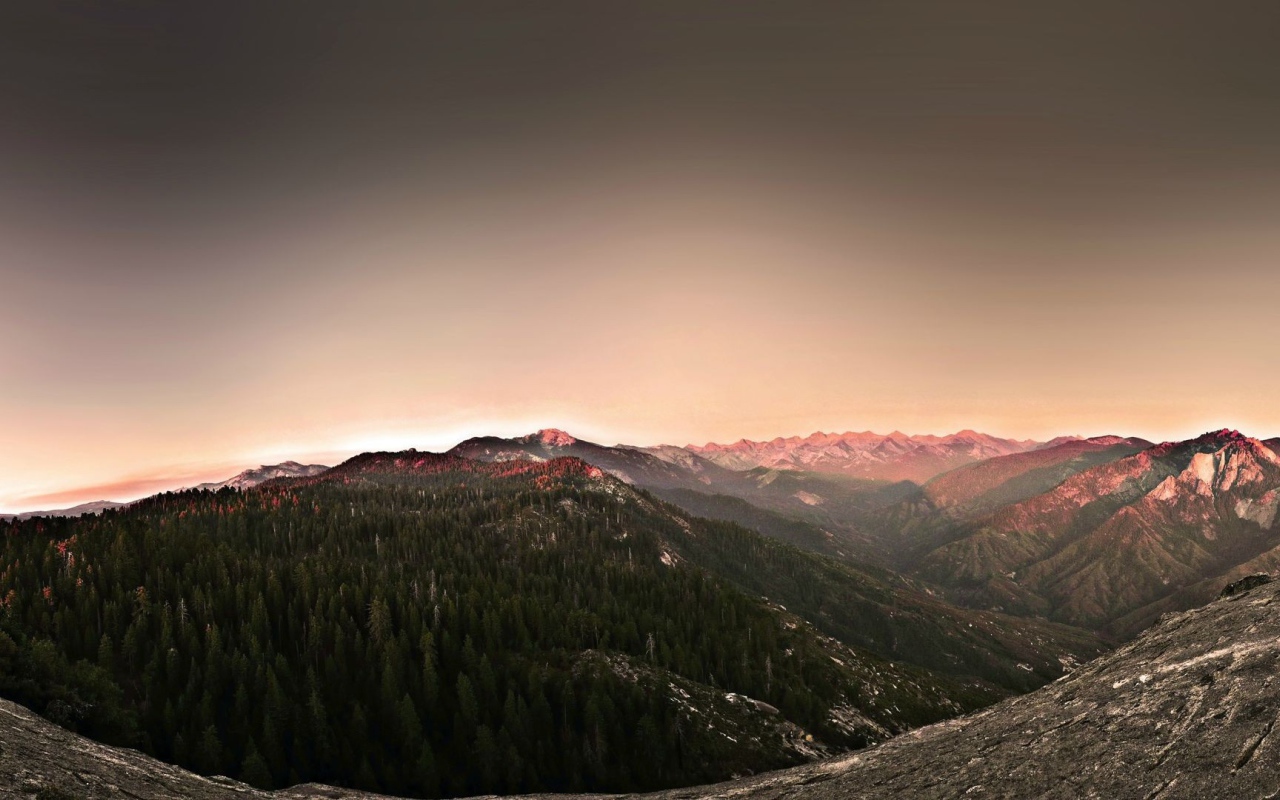 Поросшее хвойным лесом плоскогорье