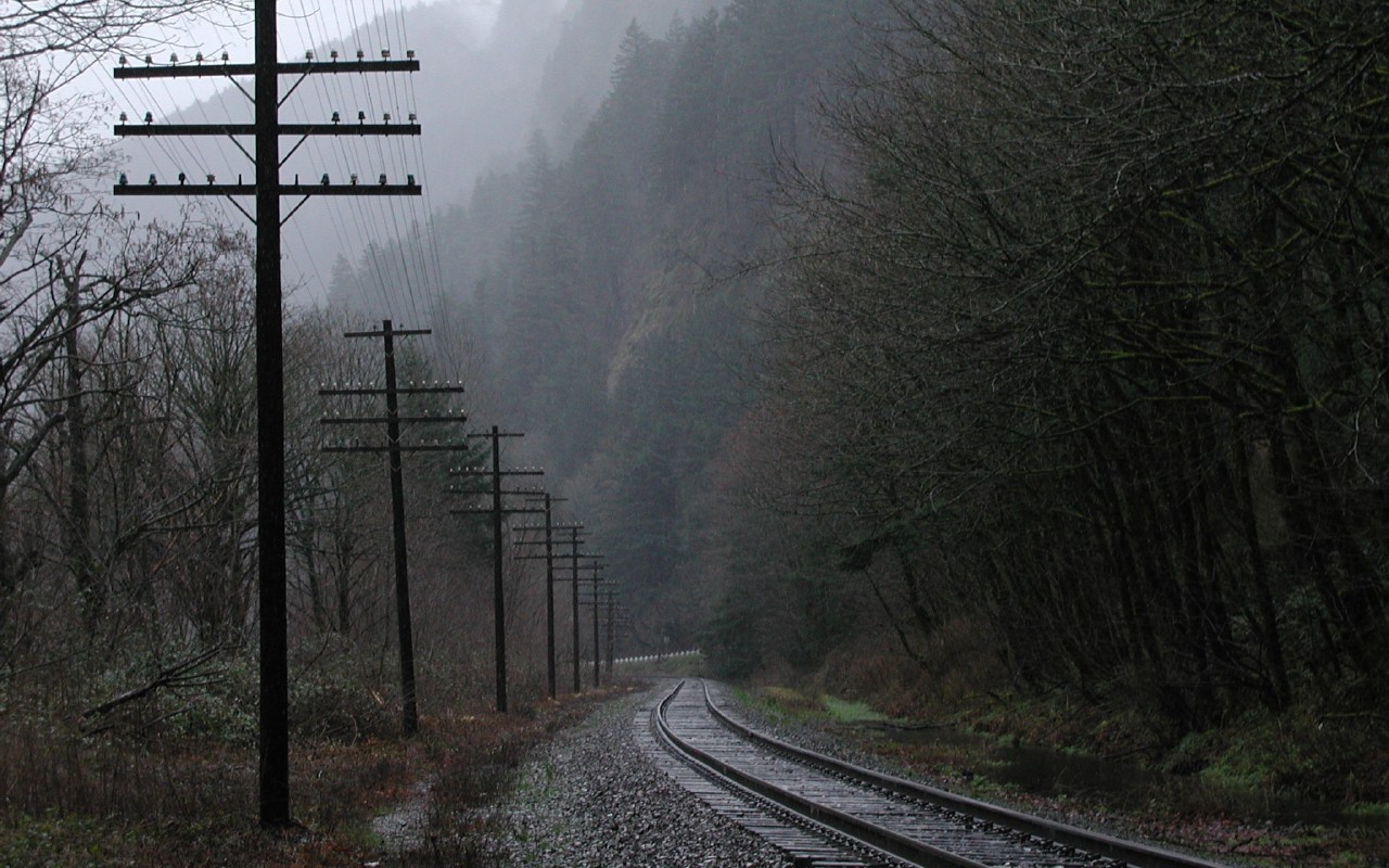 Железная дорога среди мрачного леса