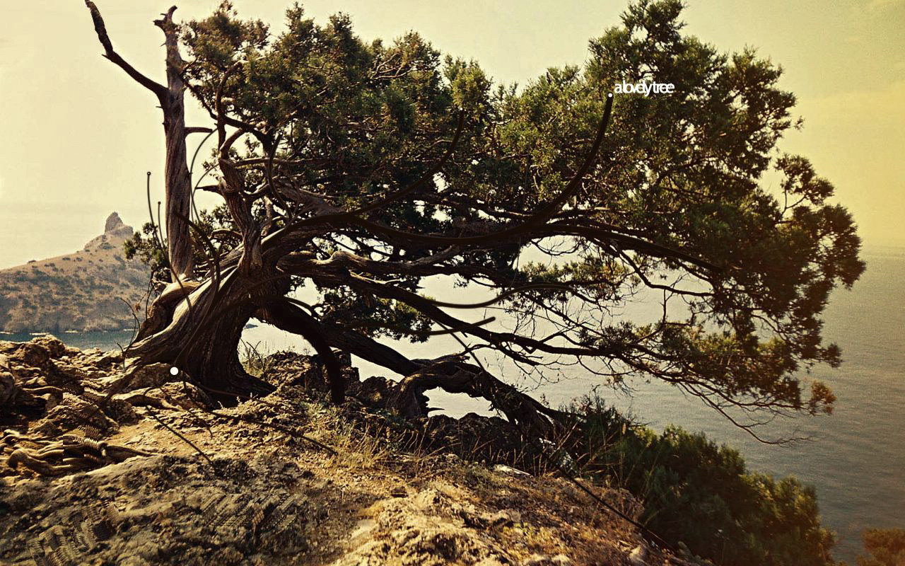 Дерево на вершине горы