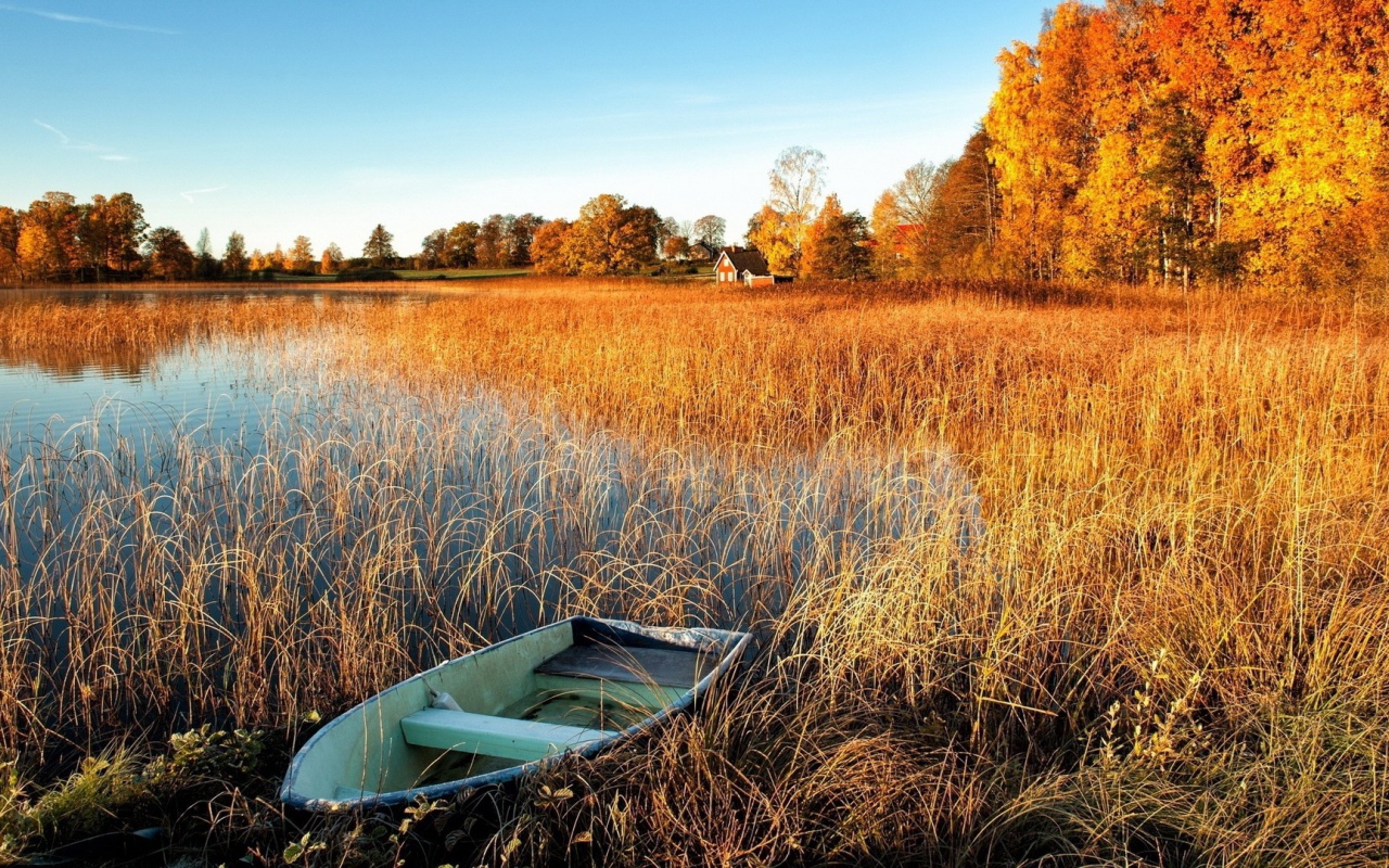 Лодка у берега заболоченного озера