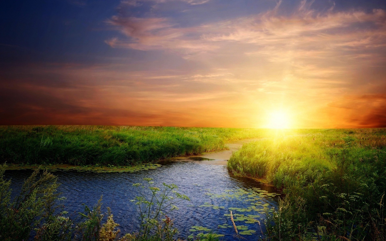 Река среди зеленой травы на закате