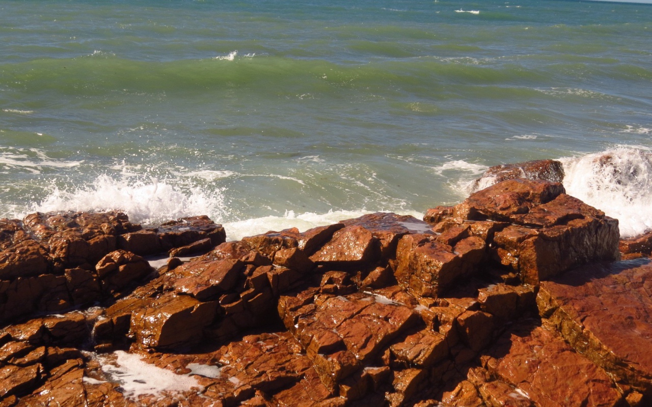 Коричневые камни на берегу моря