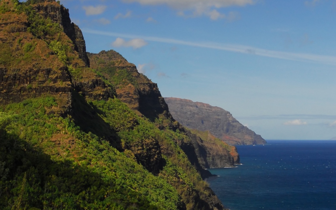 Покрытые лесом скалы над морем