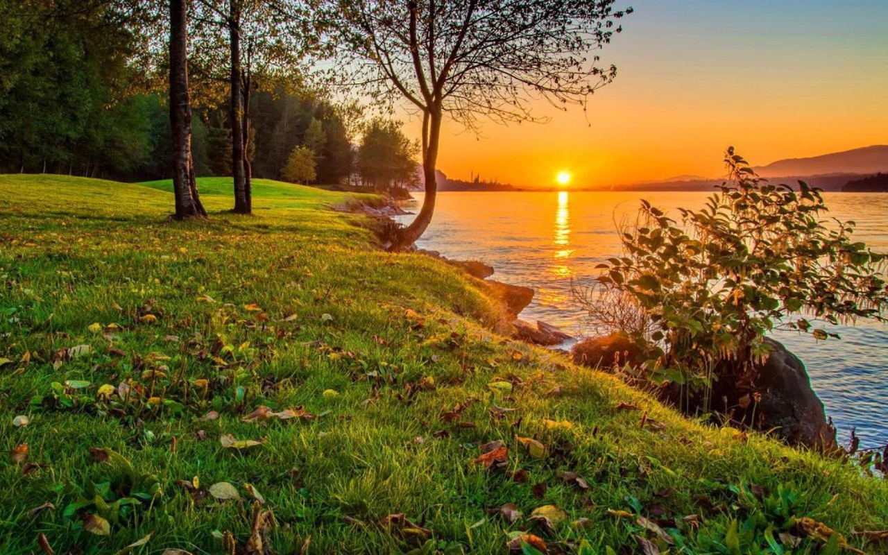 Зеленое побережье реки на закате