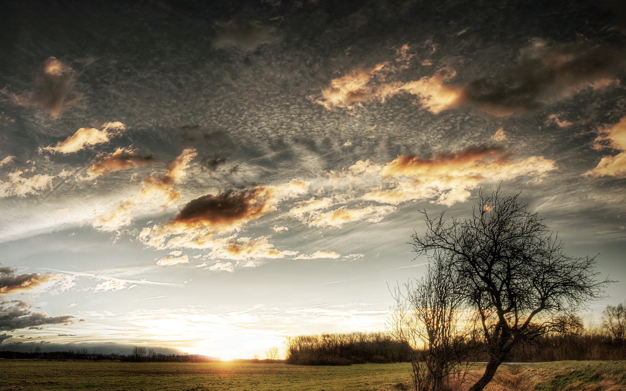 Закат на чистом поле