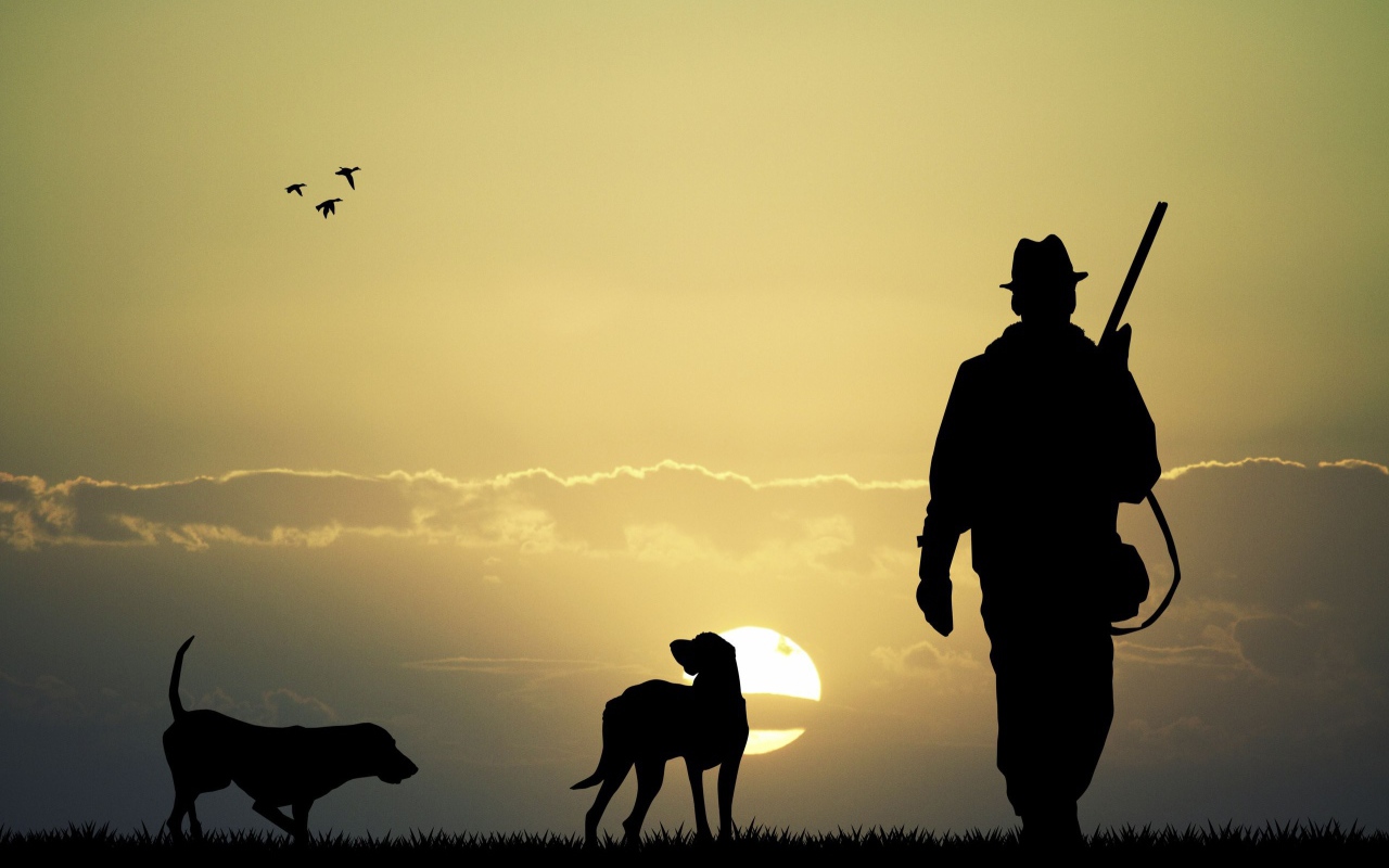 Охотник с собаками на фоне солнца