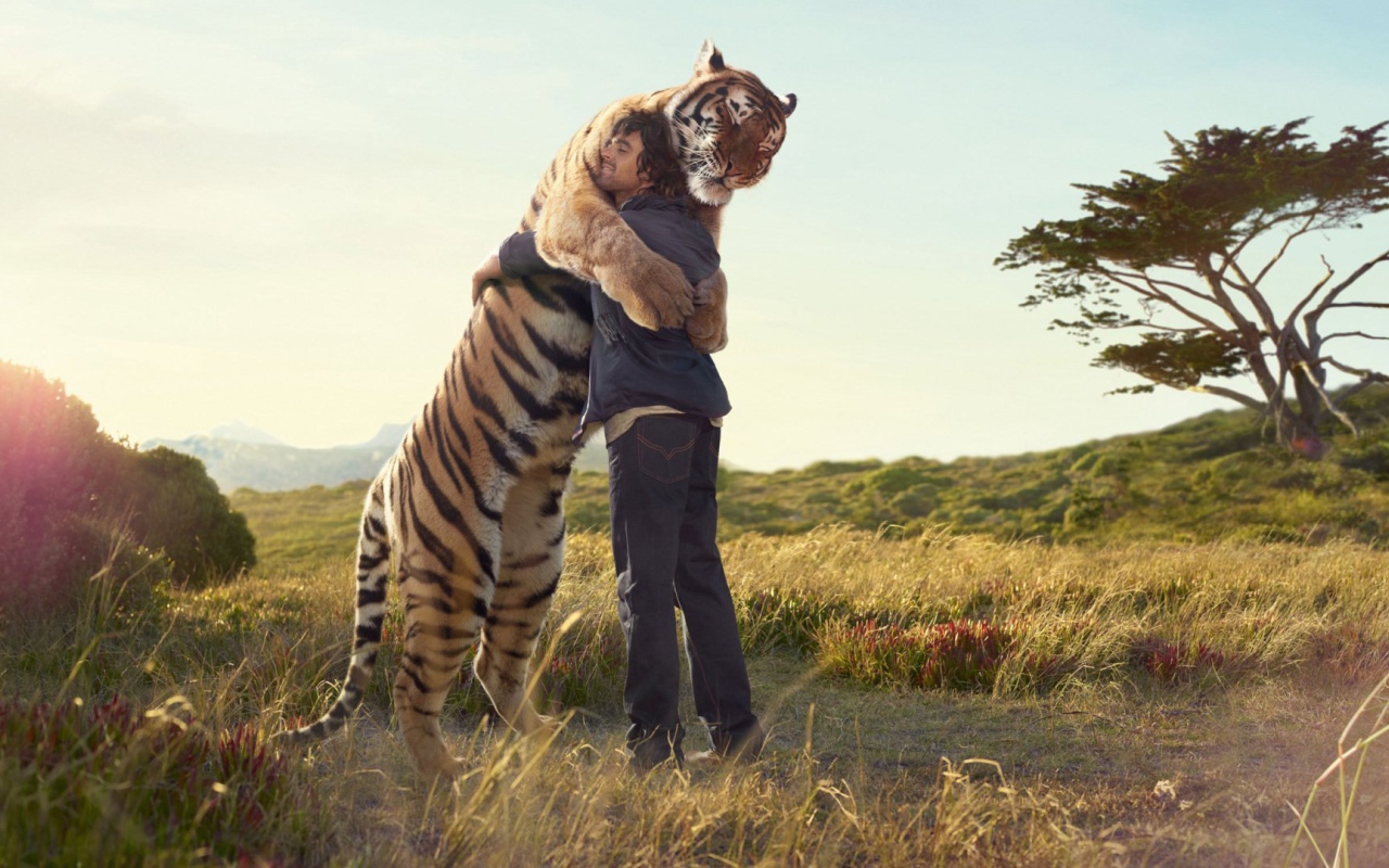 Человек обнимается с тигром
