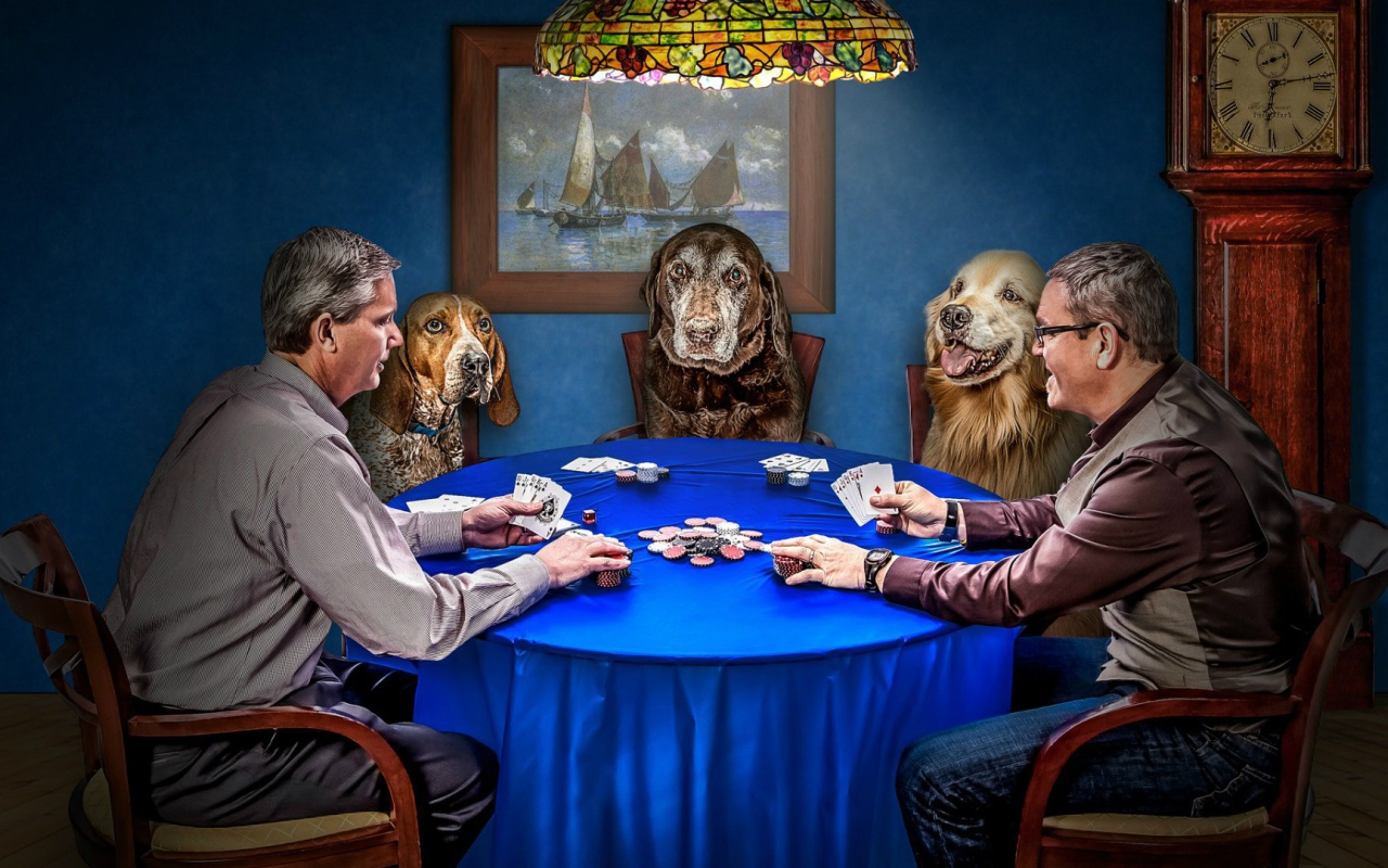 Игра в покер с собаками