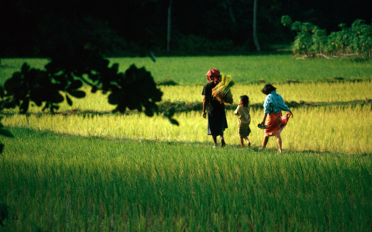 Семья аборигенов